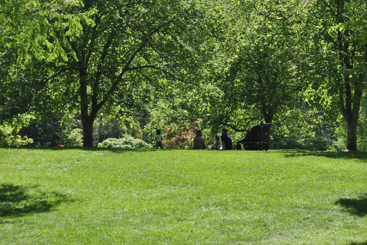 Brookside Gardens